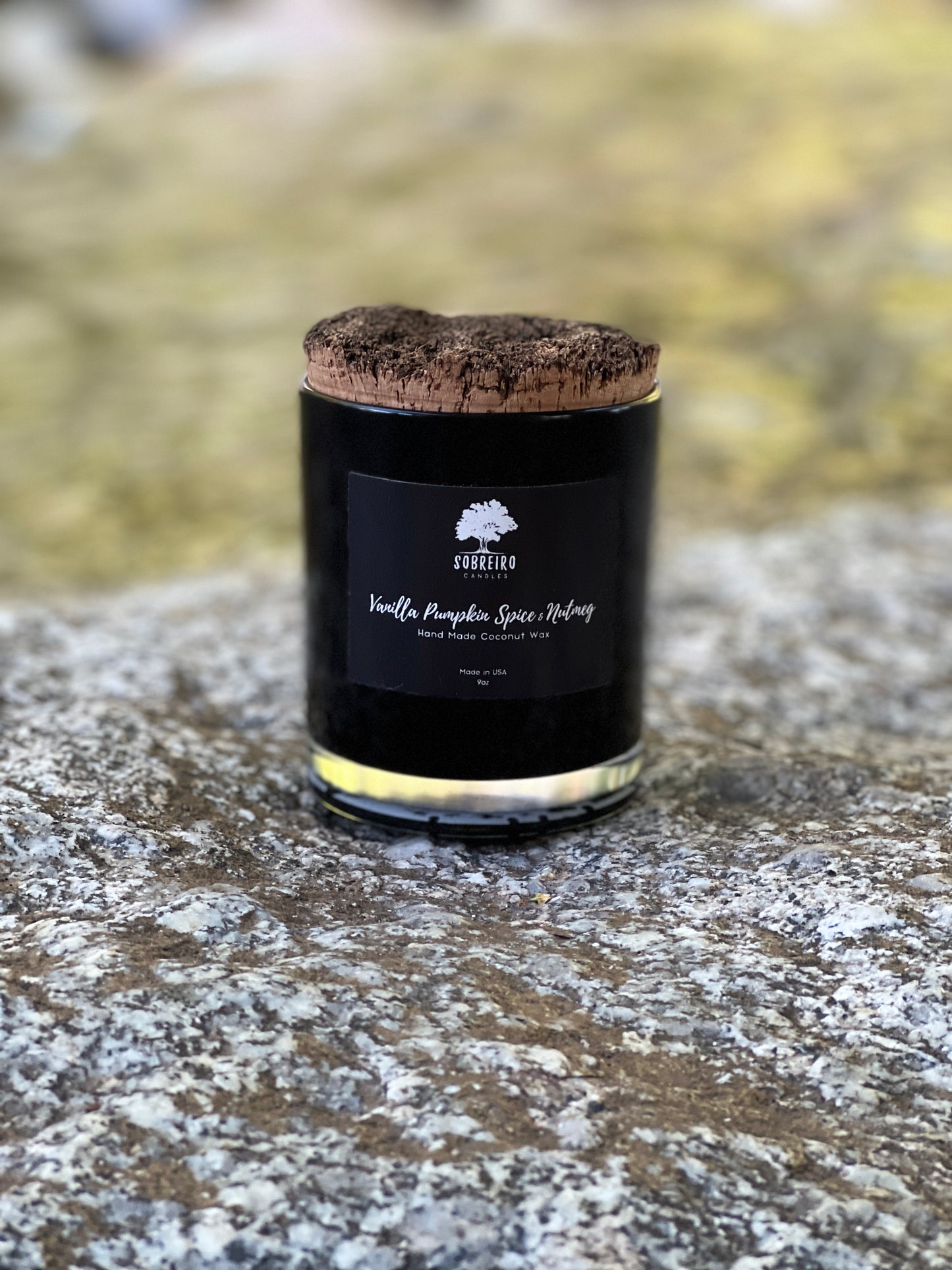 Pumpkin Spice, Vanilla, & Nutmeg | 9oz (Black)