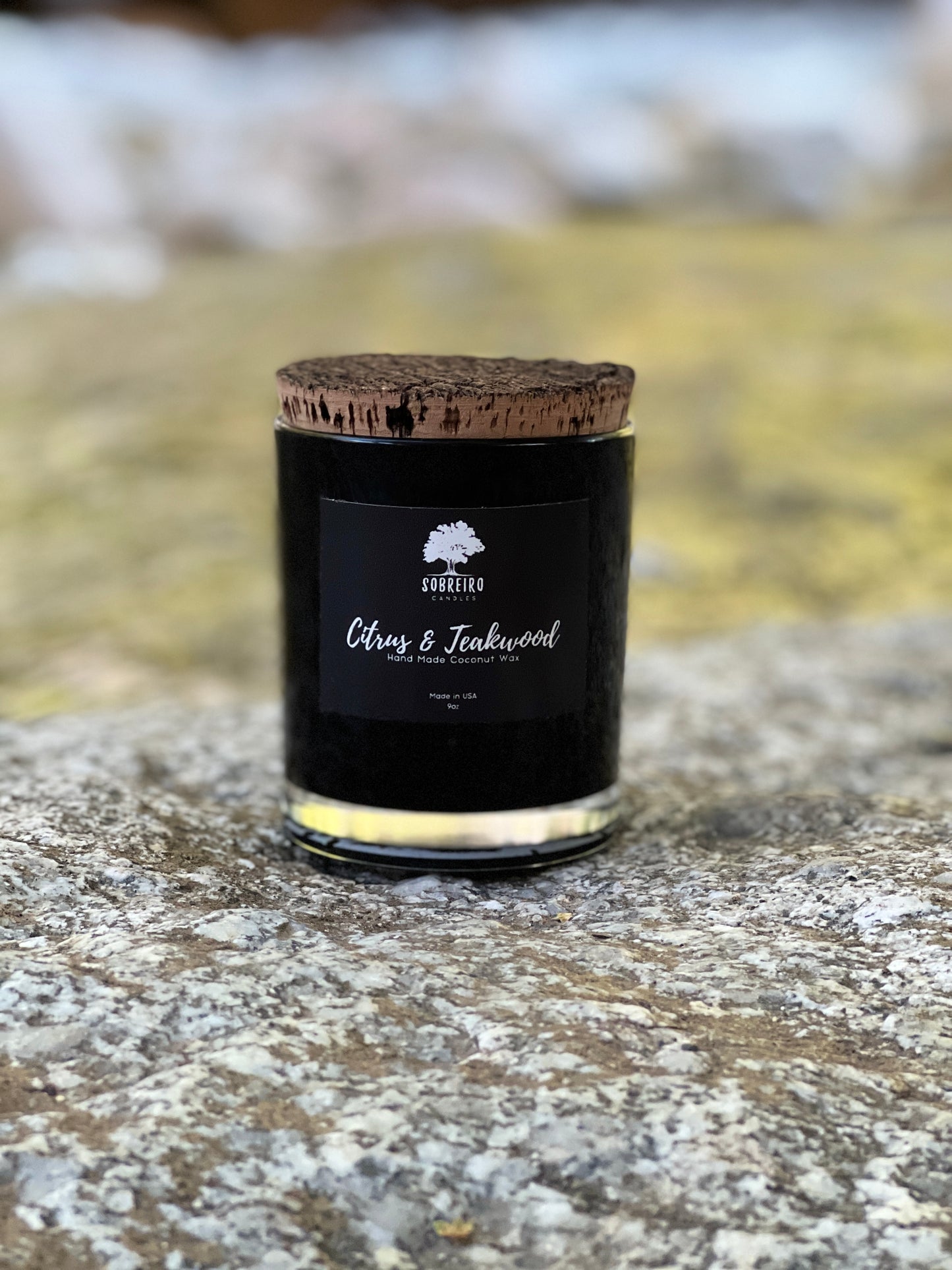 Citrus & Teakwood | 9oz (Black)